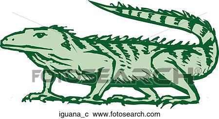 Iguana View Large Clip Art Graphic Clipart - Iguana. Fotosearch