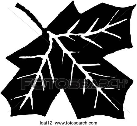 Leaf 12 View Large Clip Art Graphic Clipart - Leaf 12. Fotosearch