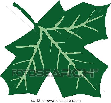 Clipart - Leaf 12. Fotosearch