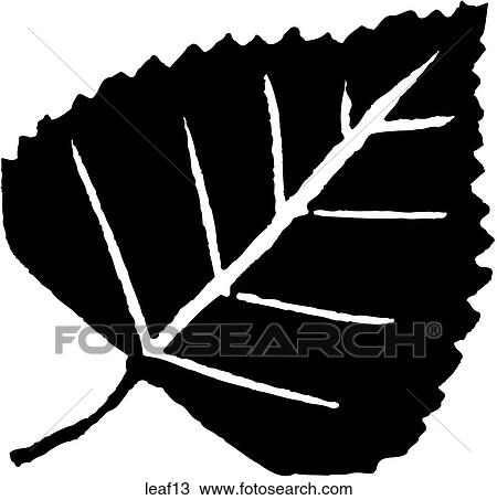 Clipart - Leaf 13. Fotosearch