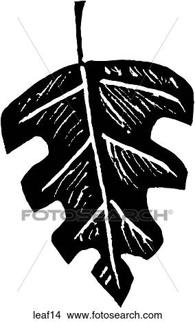 Leaf 14 View Large Clip Art Graphic Clipart - Leaf 14. Fotosearch