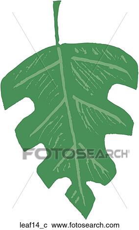 Leaf 14 View Large Clip Art Graphic Clipart - Leaf 14. Fotosearch