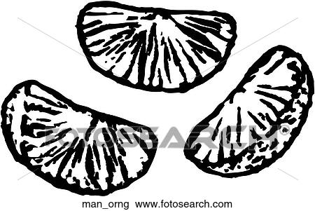 Mandarin Orange View Large Clip Art Graphic Clipart - Mandarin Orange. Fotosearch