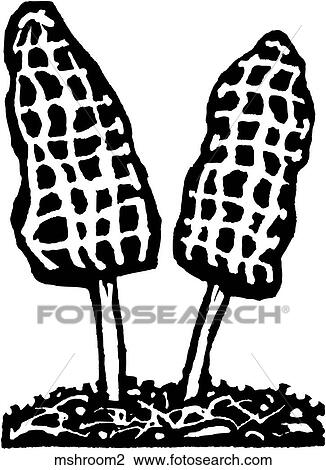 Clipart - Mushroom 2. Fotosearch