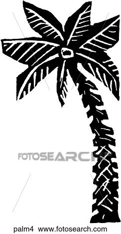 Clipart - Palm 4. Fotosearch