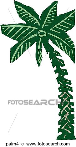 Clipart - Palm 4. Fotosearch