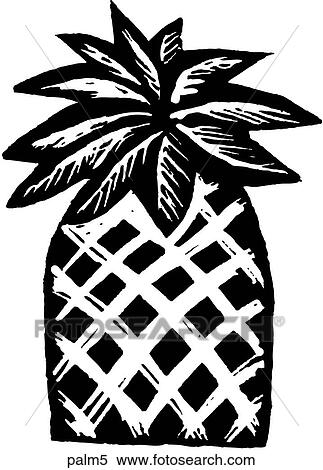 Palm 5 View Large Clip Art Graphic Clipart - Palm 5. Fotosearch