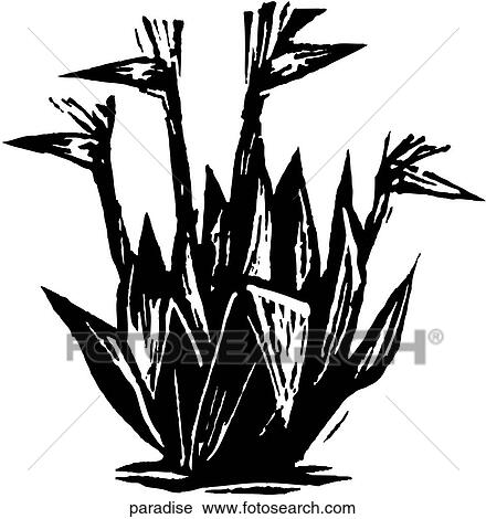 Clipart - Paradise. Fotosearch