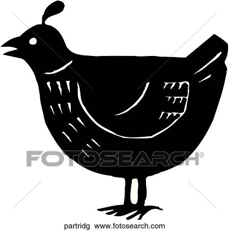 Partridge View Large Clip Art Graphic Clipart - Partridge. Fotosearch
