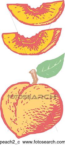 Clipart - Peach 2. Fotosearch
