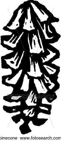 Clipart - Pine Cone. Fotosearch