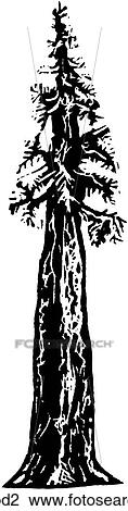 Redwood View Large Clip Art Graphic Clipart - Redwood. Fotosearch