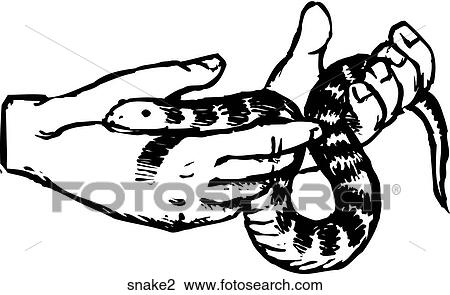 Clipart - Snake 2. Fotosearch
