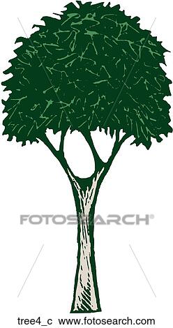 Clipart - Tree 4. Fotosearch