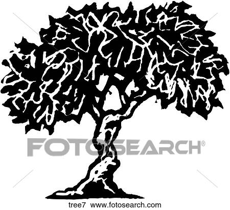 Tree 7 View Large Clip Art Graphic Clip Art - Tree 7. Fotosearch