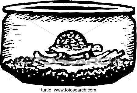 Clipart - Turtle. Fotosearch