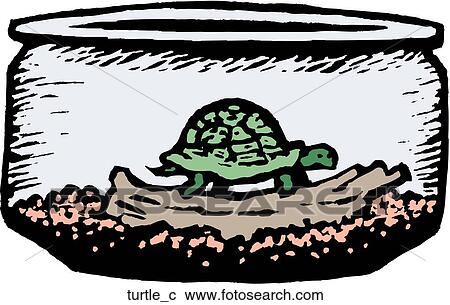 Turtle View Large Clip Art Graphic Clipart - Turtle. Fotosearch