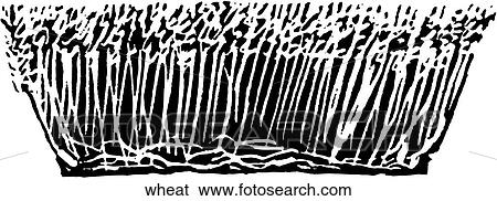 Clip Art - Wheat. Fotosearch