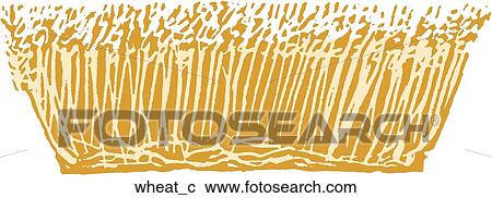 Clipart - Wheat. Fotosearch