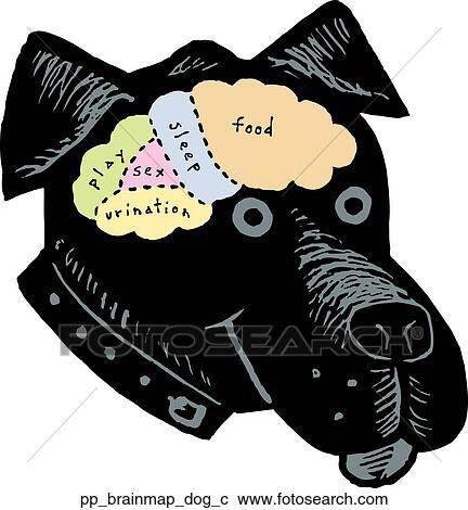 Clipart - Brainmap of Dog. Fotosearch