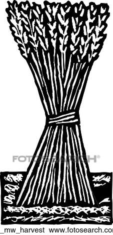 Clip Art - harvest. Fotosearch