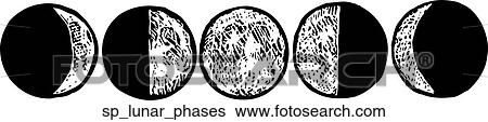 Clip Art - Lunar Phases. Fotosearch