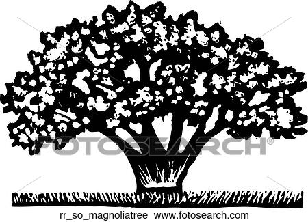 Clipart - magnolia tree. Fotosearch
