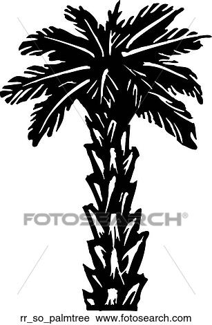 palm tree View Large Clip Art Graphic Clipart - palm tree. Fotosearch