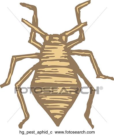 Clipart - Pest - Aphid. Fotosearch