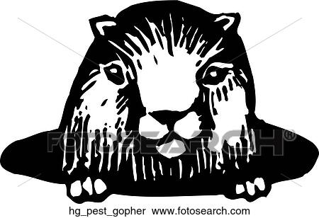 Pest - Gopher View Large Clip Art Graphic Clipart - Pest - Gopher. Fotosearch