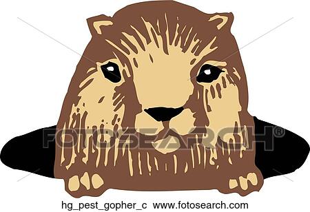 Pest - Gopher View Large Clip Art Graphic Clipart - Pest - Gopher. Fotosearch