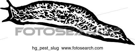 Pest - Slug View Large Clip Art Graphic Clipart - Pest - Slug. Fotosearch