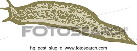 Pest - Slug View Large Clip Art Graphic Clipart - Pest - Slug. Fotosearch