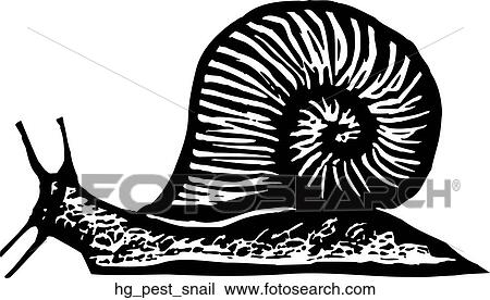 Clipart - Pest - Snail. Fotosearch
