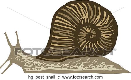 Clipart - Pest - Snail. Fotosearch