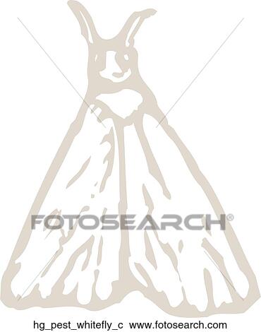 Clipart - Pest - Whitefly. Fotosearch