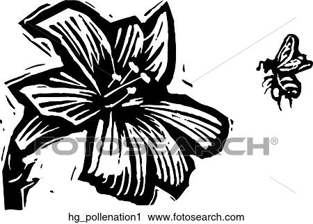Clipart - Pollenation 1. Fotosearch