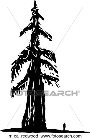 Clipart - redwood. Fotosearch