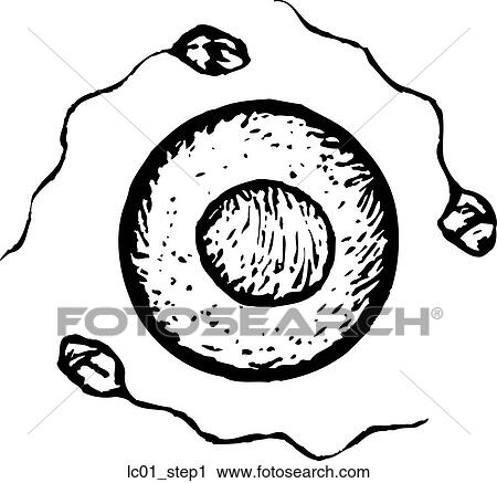 Clipart - Step One. Fotosearch