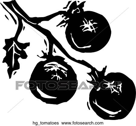 Clip Art - Tomatoes. Fotosearch