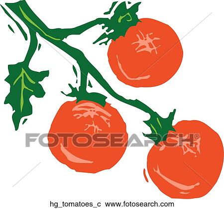 Clipart - Tomatoes. Fotosearch
