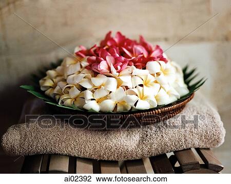 Stock Image - Basket of flowers sitting on towel.. Fotosearch