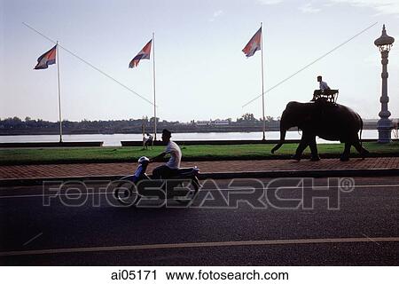Cambodia, Phnom Penh, A man on a motorcycle and a man on an elephant travelling down a road. View Large Photo Image Stock Image - Cambodia, Phnom Penh, A man on a motorcycle and a man on an elephant travelling down a road.. Fotosearch