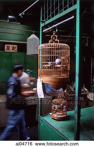 China, Hong Kong, Bird street, Birds in cage View Large Photo Image Stock Photograph - China, Hong Kong, Bird street, Birds in cage. Fotosearch