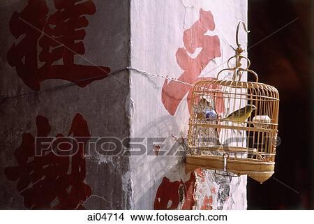 Picture - China, Hong Kong, Birds in cage. Fotosearch