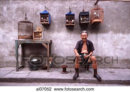 China, Shanghai, old man sitting with bird cages View Large Photo Image Stock Image - China, Shanghai, old man sitting with bird cages. Fotosearch