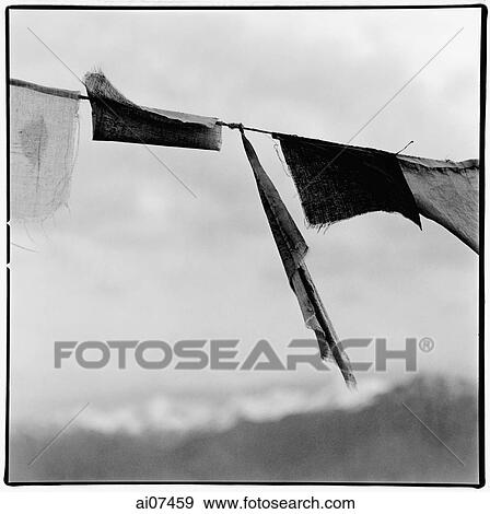 India, Ladakh, Leh, Prayer flags, Himalayas at background. View Large Photo Image Stock Photo - India, Ladakh, Leh, Prayer flags, Himalayas at background.. Fotosearch