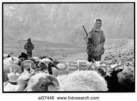 Stock Photograph - India, Northern India, Srinagar-Leh Road, Lamayuru Village, Boys shepherding sheep.. Fotosearch