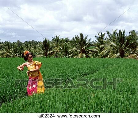 Indonesia, Bali, Balinese dancer in padi fields, trees in background View Large Photo Image Picture - Indonesia, Bali, Balinese dancer in padi fields, trees in background. Fotosearch