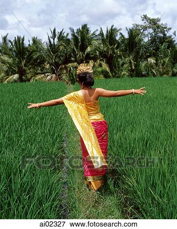 Indonesia, Bali, Balinese dancer walking through padi fields, away from camera View Large Photo Image Stock Photo - Indonesia, Bali, Balinese dancer walking through padi fields, away from camera. Fotosearch